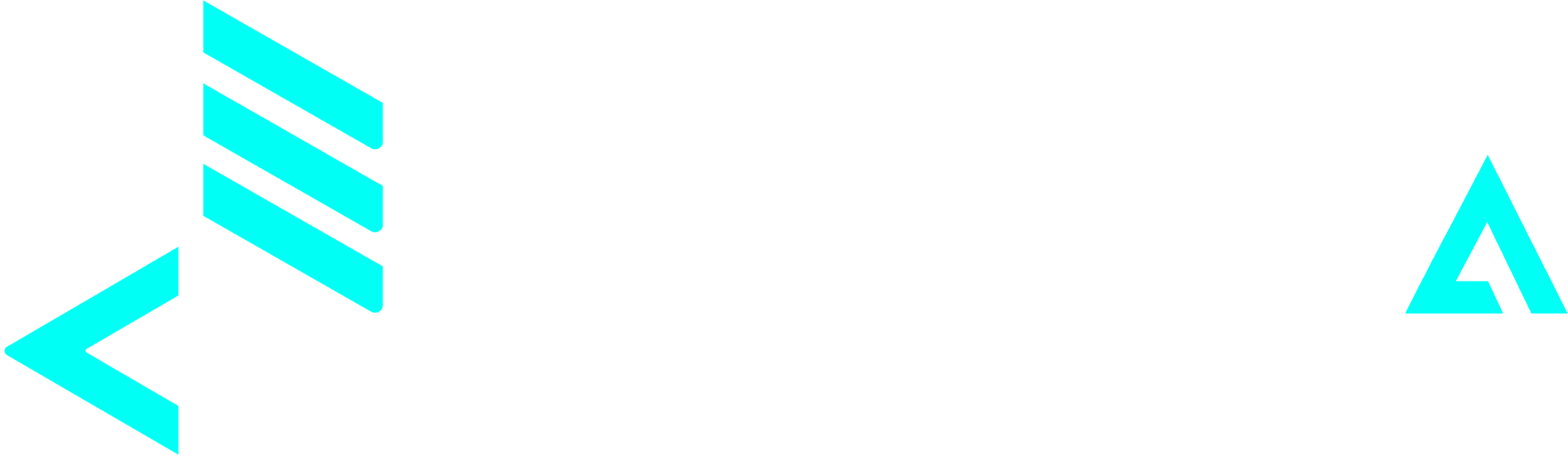 e wola webdesigner augsburg transparent logo
