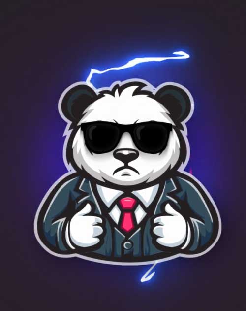 panda videoanimation augsburg portfolio