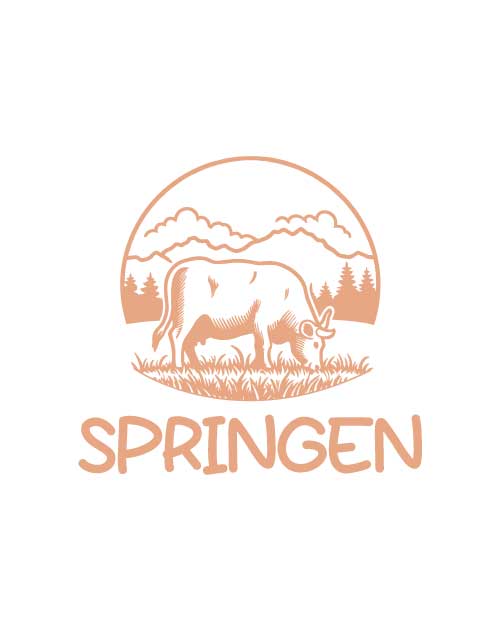 springen masgeschneidertes design von logodesigner augsburg