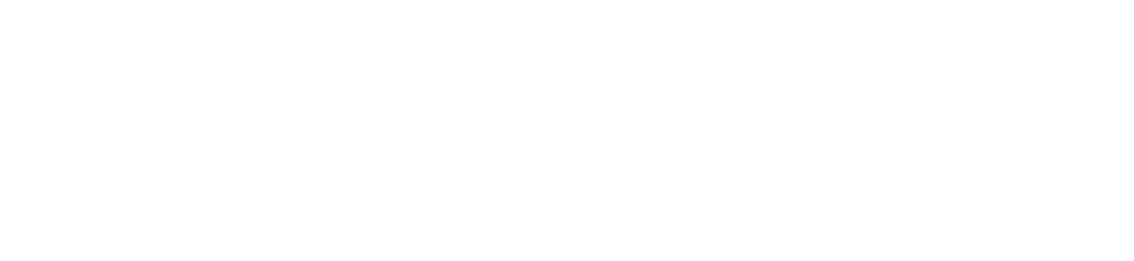 web design services wordpress logo