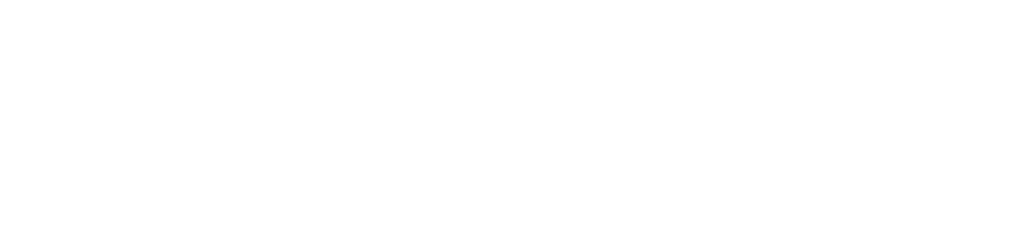web design services wordpress logo