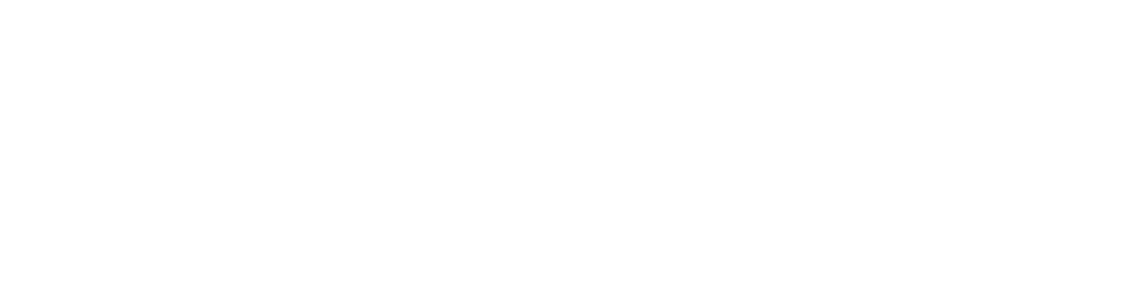 web design services webflow logo