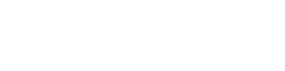 web design services webflow logo